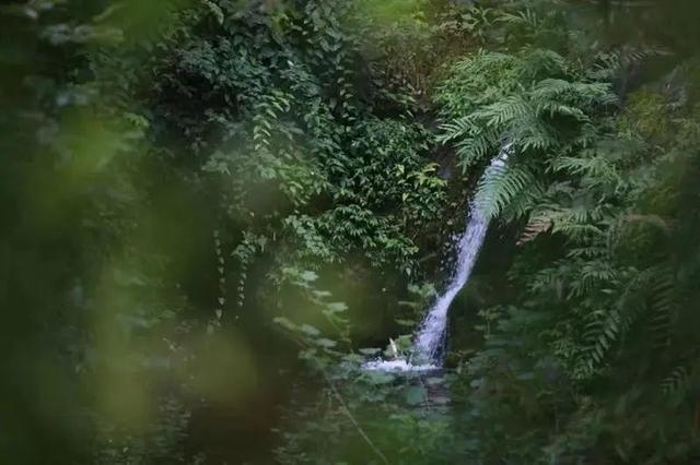 什邡旅游景点推荐，什邡这处秘境不仅坐拥天然氧吧（什邡有几个旅游景点介绍）