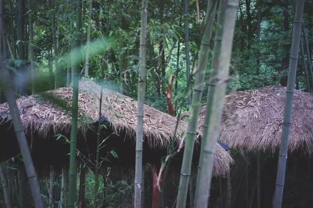 什邡旅游景点推荐，什邡这处秘境不仅坐拥天然氧吧（什邡有几个旅游景点介绍）