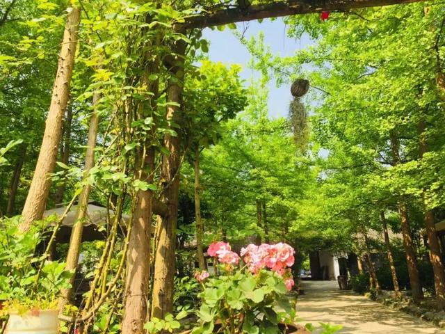 什邡旅游景点推荐，什邡这处秘境不仅坐拥天然氧吧（什邡有几个旅游景点介绍）
