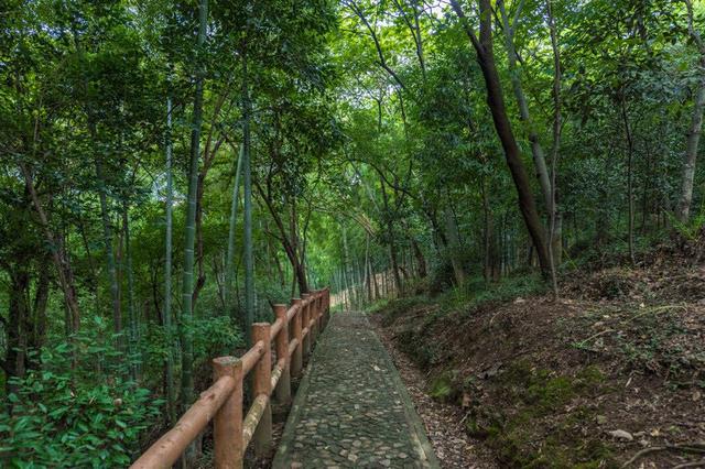 松江佘山景点，上海唯一的自然山林胜地佘山