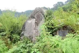 西瓜官方实验室评估教程，用人工智能挑西瓜