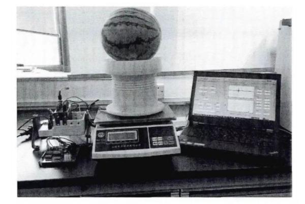 西瓜官方实验室评估教程，用人工智能挑西瓜