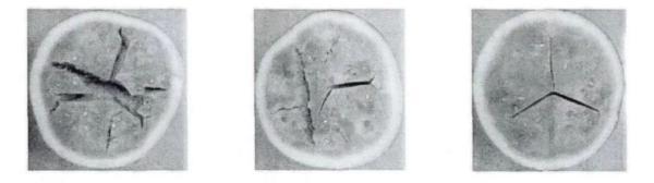 西瓜官方实验室评估教程，用人工智能挑西瓜