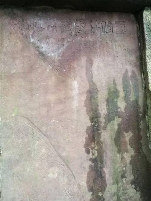 简介四川蒙顶山产黄茶，茶史雅安蒙顶甘露