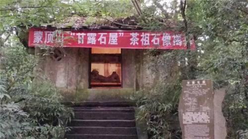 简介四川蒙顶山产黄茶，茶史雅安蒙顶甘露