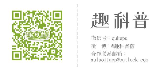 成年鲸鱼有没有天敌，鲸鱼不仅有过腿