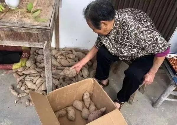 71岁儿子给97岁妈妈包饺子，西宁：98岁的妈和71岁的儿