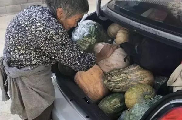 71岁儿子给97岁妈妈包饺子，西宁：98岁的妈和71岁的儿