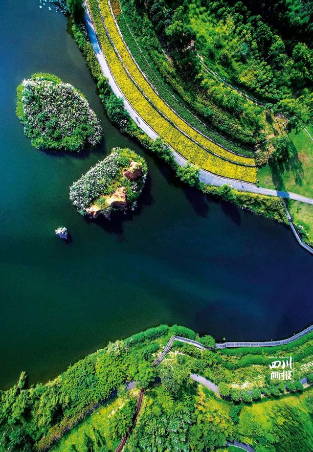 成都天府绕城绿道最美的风景，亲测：天府绿道骑行104公里