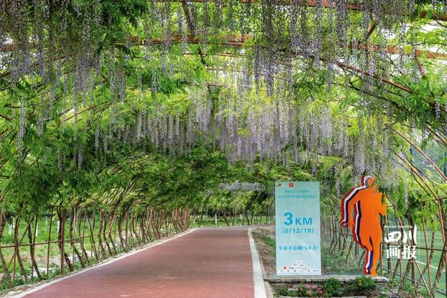 成都天府绕城绿道最美的风景，亲测：天府绿道骑行104公里