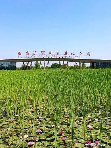 西安浐灞湿地公园，西安浐灞湿地公园都有什么（你拍了拍西安浐灞国家湿地公园）
