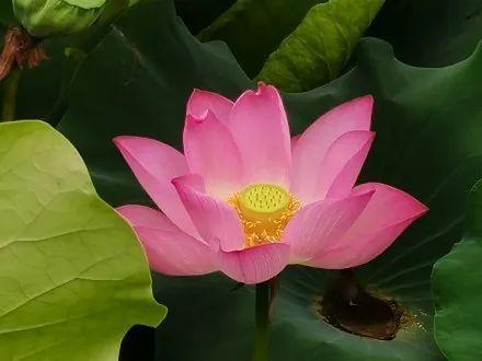 西安浐灞湿地公园，西安浐灞湿地公园都有什么（你拍了拍西安浐灞国家湿地公园）