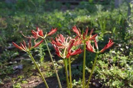西安浐灞湿地公园，西安浐灞湿地公园都有什么（你拍了拍西安浐灞国家湿地公园）
