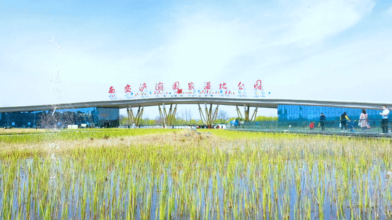 西安浐灞湿地公园，西安浐灞湿地公园都有什么（你拍了拍西安浐灞国家湿地公园）