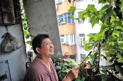贾云结案没有，贾云想活下去继续守护孩子