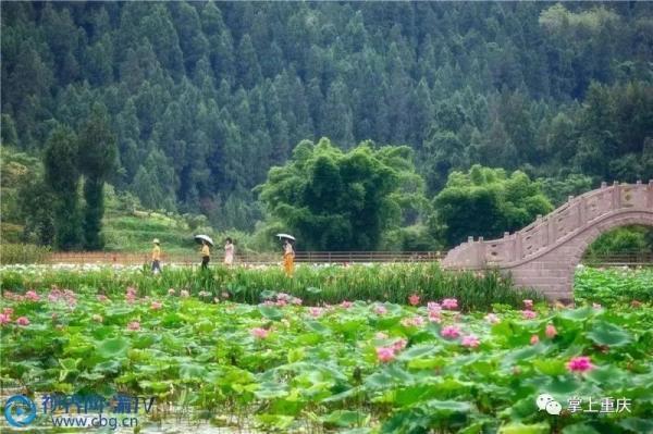 重庆武隆旅游景点推荐，重庆武隆又有两个景区正式开园