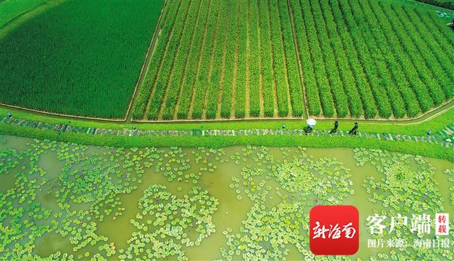 琼海景点一日游攻略，琼海免费网红景点