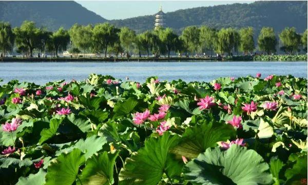 挑高阳台装修效果图，译典高阳台