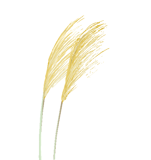 宋玉麟先生笔法，翛然物表与古为徒