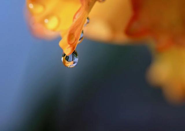 今日白露的问候，白露节气早安问候祝福语短信