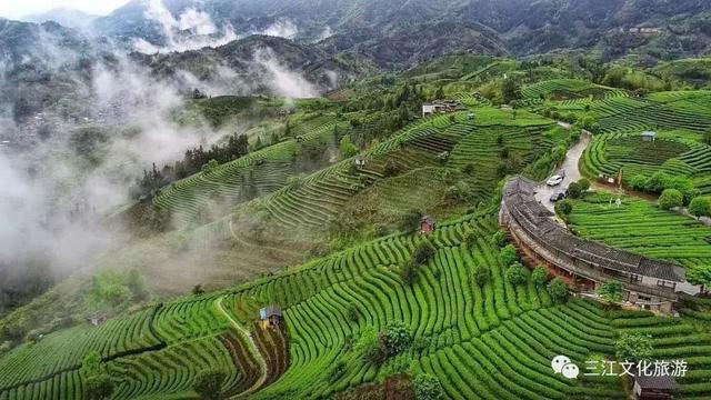 柳州3天2夜旅游攻略，柳州本地人良心整理推荐