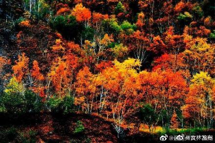 吉林敦化旅游必去十大景点，延边11个必打卡的小众景点