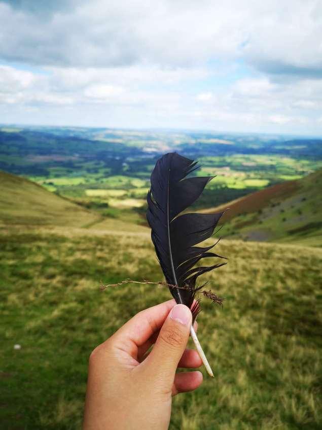 第一种鸟类进化分支，从它们的祖先开始就是这样