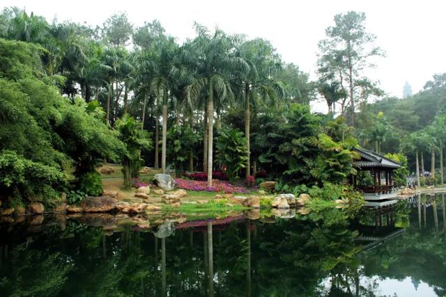 南宁旅游攻略必玩的景点，南宁有哪些好玩的旅游景点（超级推荐这5个打卡点）