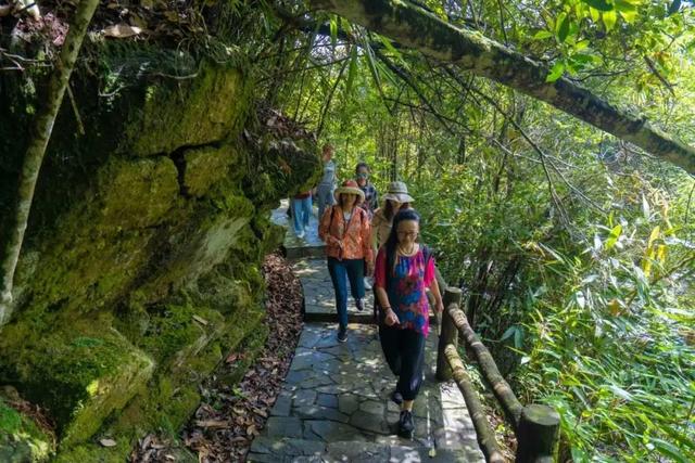 南宁旅游攻略必玩的景点，南宁有哪些好玩的旅游景点（超级推荐这5个打卡点）