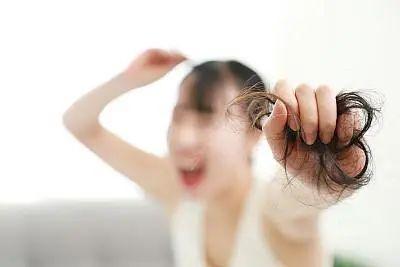 女人肥胖掉发(肥胖掉发是什么原因)