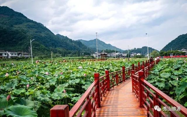 秀山旅游景点推荐，秀山这些景点全国出名
