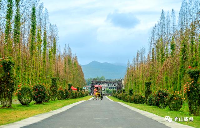 秀山旅游景点推荐，秀山这些景点全国出名