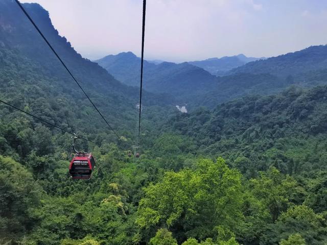 青城山旅游攻略，青城山旅游攻略一日游最佳路线（青城山一日游要怎么玩）