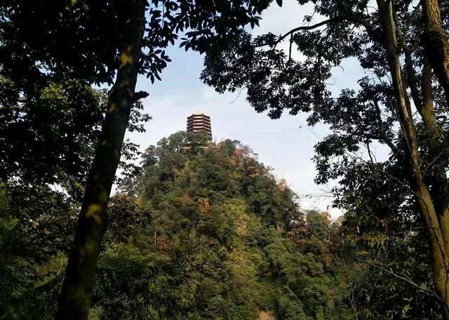 青城山旅游攻略，青城山旅游攻略一日游最佳路线（青城山一日游要怎么玩）