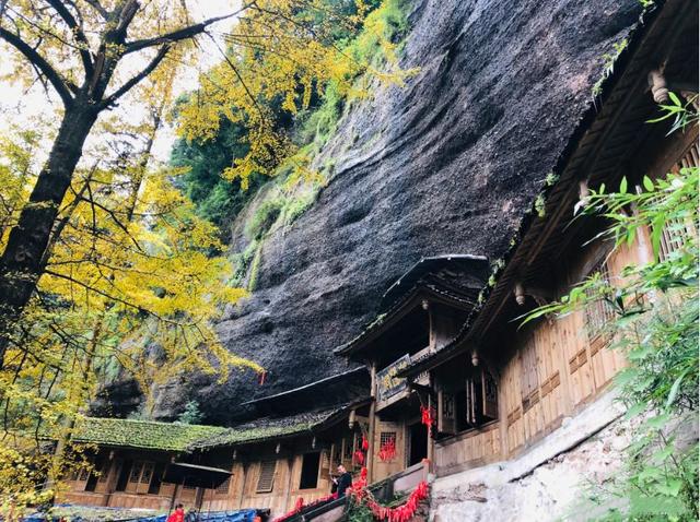 青城山旅游攻略，青城山旅游攻略一日游最佳路线（青城山一日游要怎么玩）