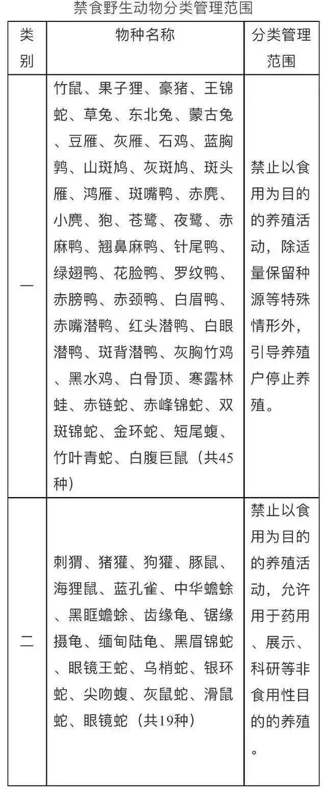 竹鼠是保护动物吗，竹鼠在国家保护动物里面吗