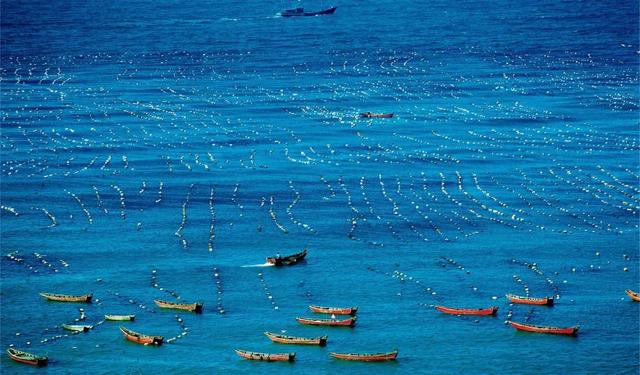 世界上最咸的海，知道世界上最大的海是什么海吗（死海：世界上最咸的湖）