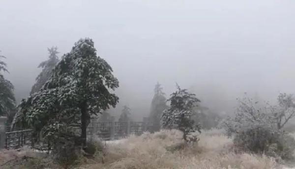 成都周边哪里下雪了，成都2023年第一场雪来啦