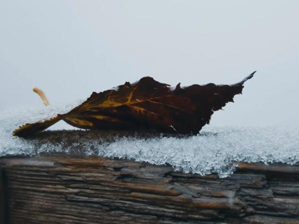 成都周边哪里下雪了，成都2023年第一场雪来啦