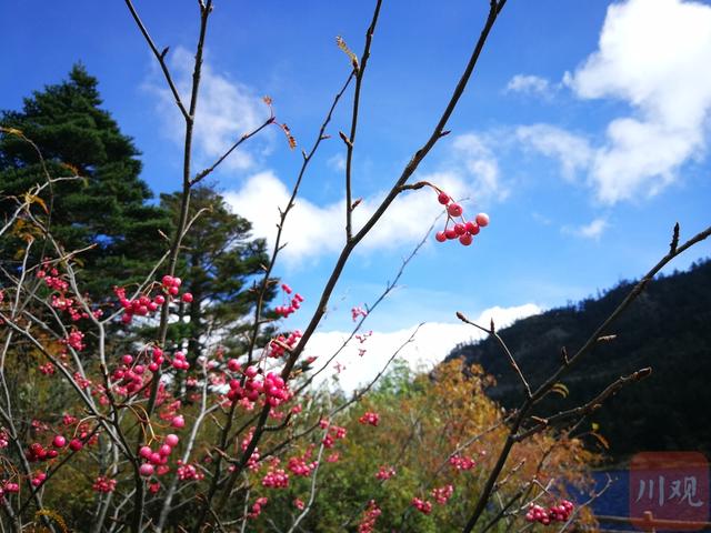 瓦屋山对比螺髻山，在层林叠翠和蓝天白云中感受时间静止