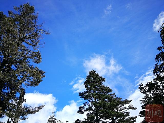 瓦屋山对比螺髻山，在层林叠翠和蓝天白云中感受时间静止