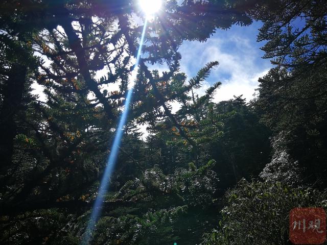 瓦屋山对比螺髻山，在层林叠翠和蓝天白云中感受时间静止