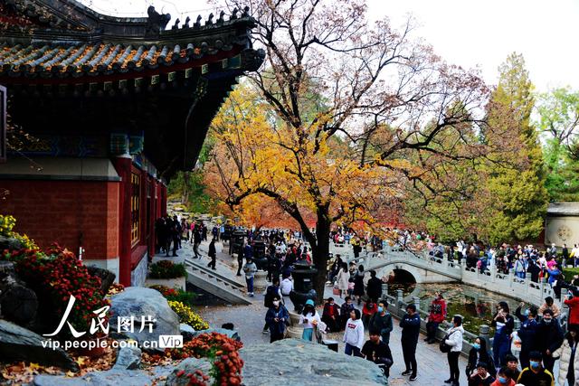 2022北京香山红叶最佳观赏时间，北京推出20处赏红片区