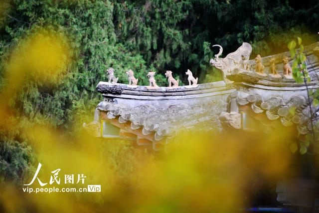 2022北京香山红叶最佳观赏时间，北京推出20处赏红片区