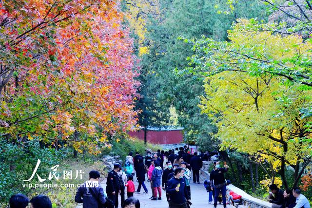 2022北京香山红叶最佳观赏时间，北京推出20处赏红片区