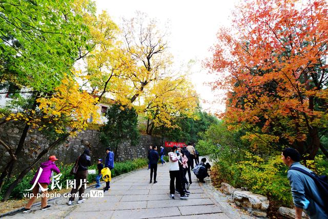 2022北京香山红叶最佳观赏时间，北京推出20处赏红片区