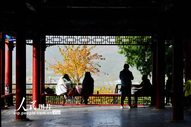 2022北京香山红叶最佳观赏时间，北京推出20处赏红片区