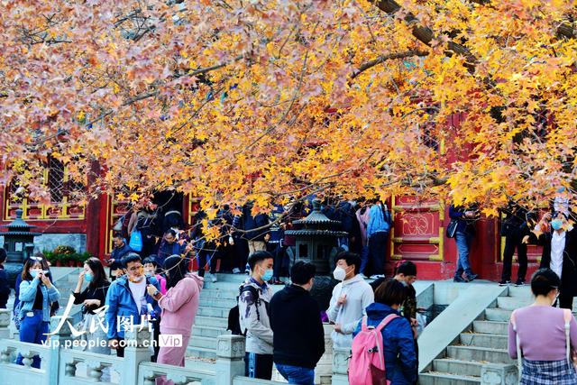 2022北京香山红叶最佳观赏时间，北京推出20处赏红片区