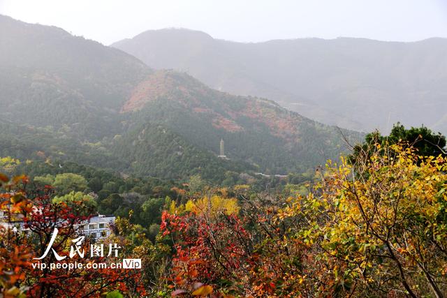 2022北京香山红叶最佳观赏时间，北京推出20处赏红片区