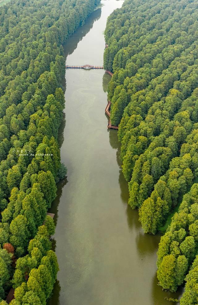 一分钟看懂泰州旅游，探寻海上平原千年古城